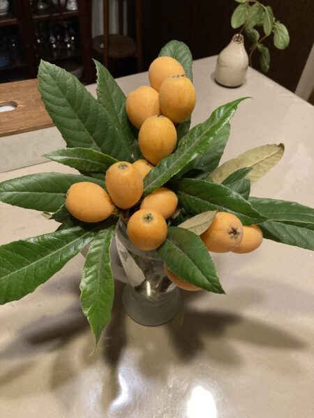 お役所の片隅でのアイキャッチ画像
