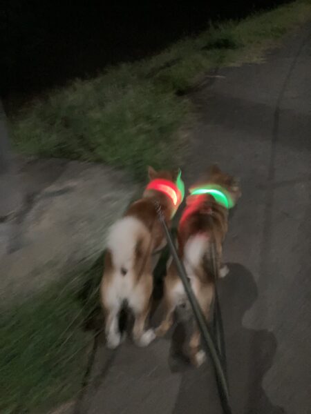 誰も知らない私の夜遊びのアイキャッチ画像